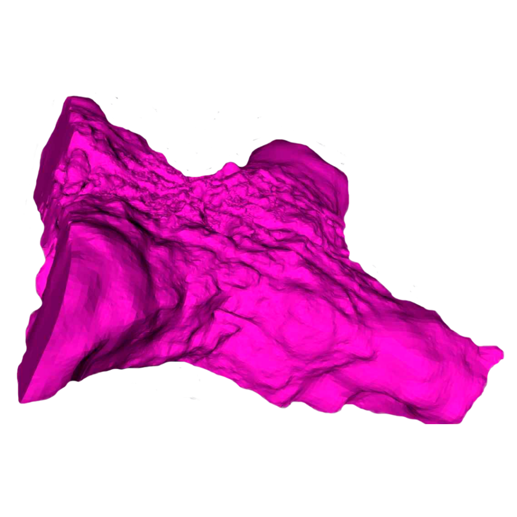 Proviz Image 3 - Promine Image